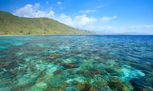 pesona-alor2